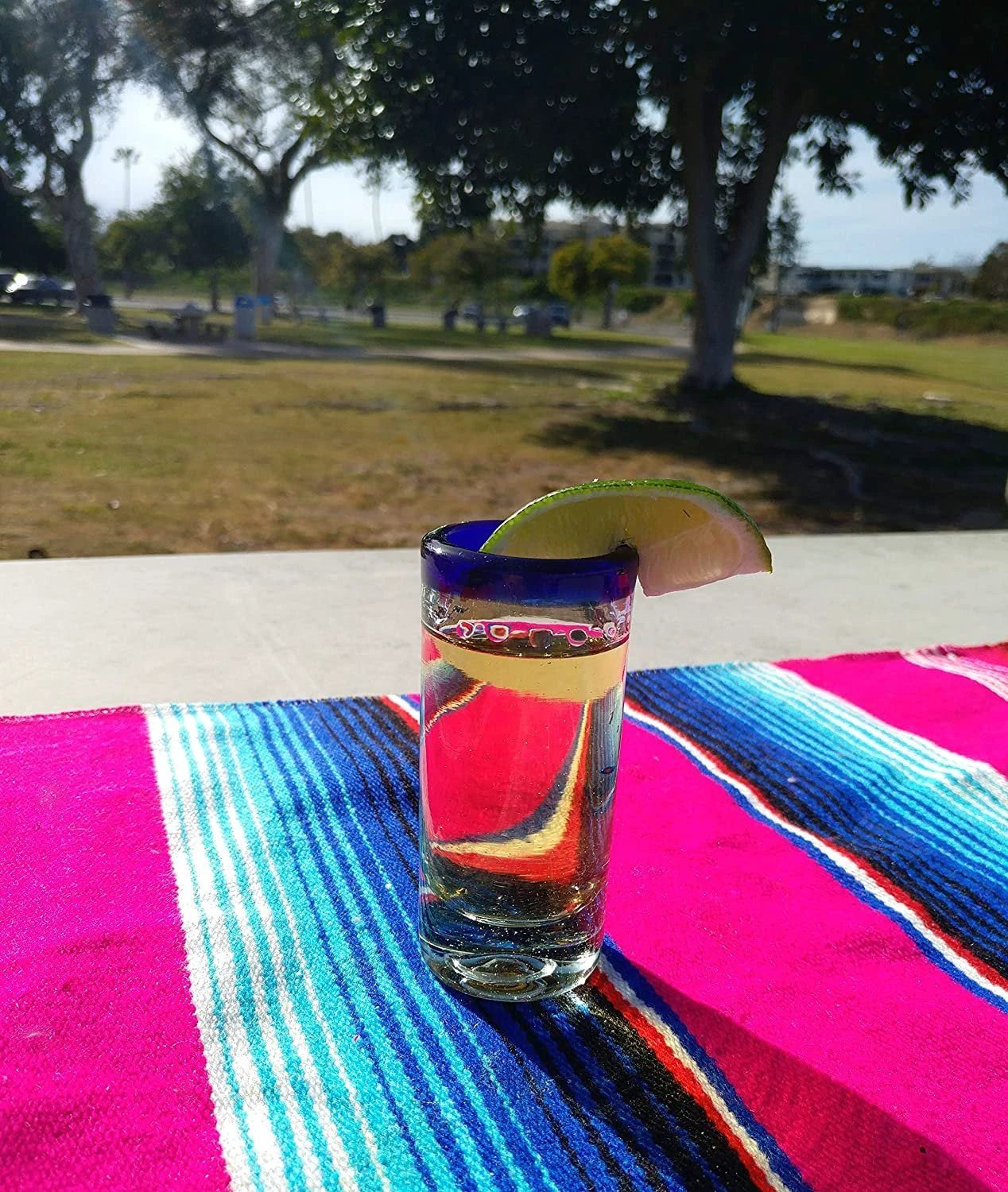 Cobalt Blue Rim Tequila Shot Glasses - Set of 6 (2 oz each) by Dos Sueños