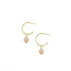 Conch Shell earrings by Alegria Accessories Inc