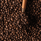 Conquistador - Organic Coffee La Vie Bien Conquistador - Organic