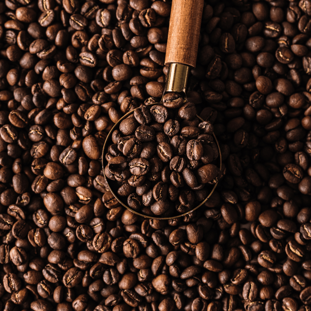 Conquistador - Organic Coffee La Vie Bien Conquistador - Organic