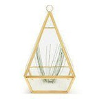 Conservatory Frosted Brass Ornament - Large & Small Accent Decor La Vie Bien Conservatory Frosted Brass Ornament - Large & Small