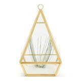 Conservatory Frosted Brass Ornament - Large & Small Accent Decor La Vie Bien Conservatory Frosted Brass Ornament - Large & Small