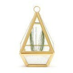 Conservatory Frosted Brass Ornament - Large & Small Accent Decor La Vie Bien Conservatory Frosted Brass Ornament - Large & Small