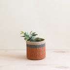 Coral Tabletop Mini Basket - Handwoven Baskets | LIKHÂ by LIKHÂ
