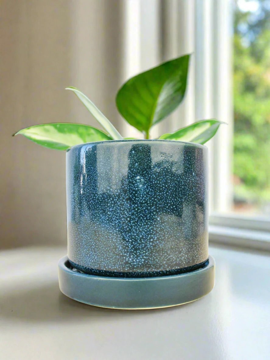 Cosmos Blue 3" Ceramic Plant Pot and Saucer by Ash & Rose