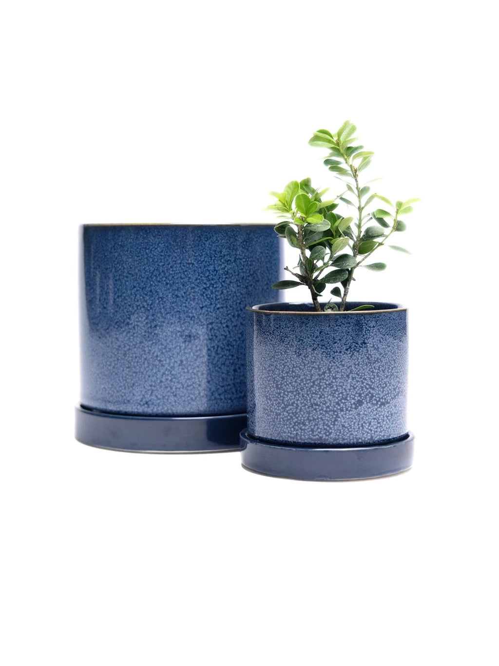 Cosmos Blue 3" Ceramic Plant Pot and Saucer by Ash & Rose