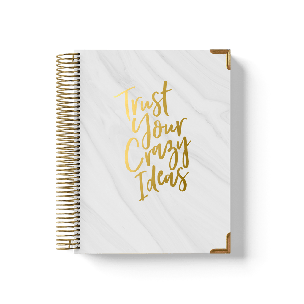 Crazy Ideas Teacher Planner by BERTEAU & Co.