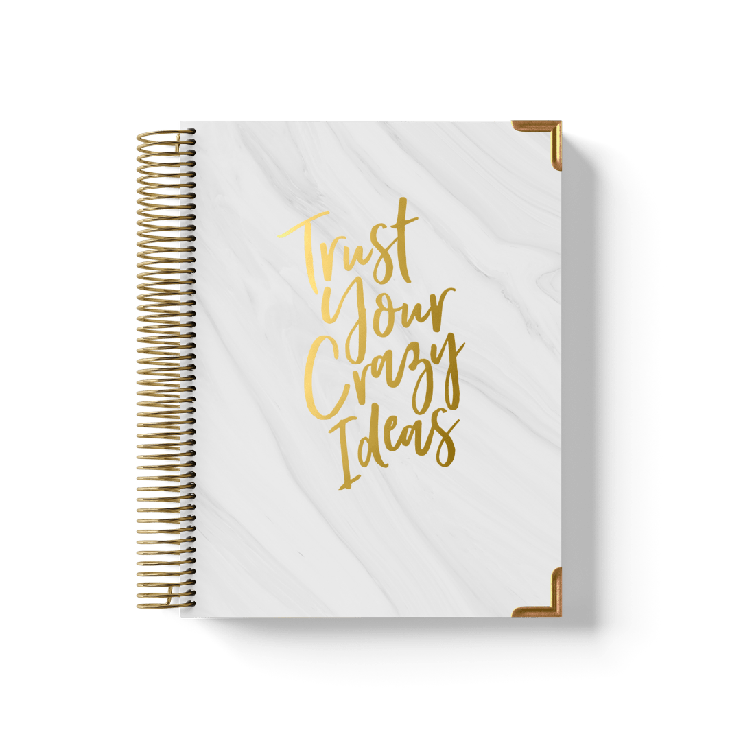 Crazy Ideas Teacher Planner by BERTEAU & Co.