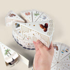 Creative Triangle Cake Gift Blind Box Set (MAC387) La Vie Bien Creative Triangle Cake Gift Blind Box Set (MAC387)
