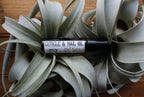Cuticle & Nail Oil La Vie Bien Cuticle & Nail Oil