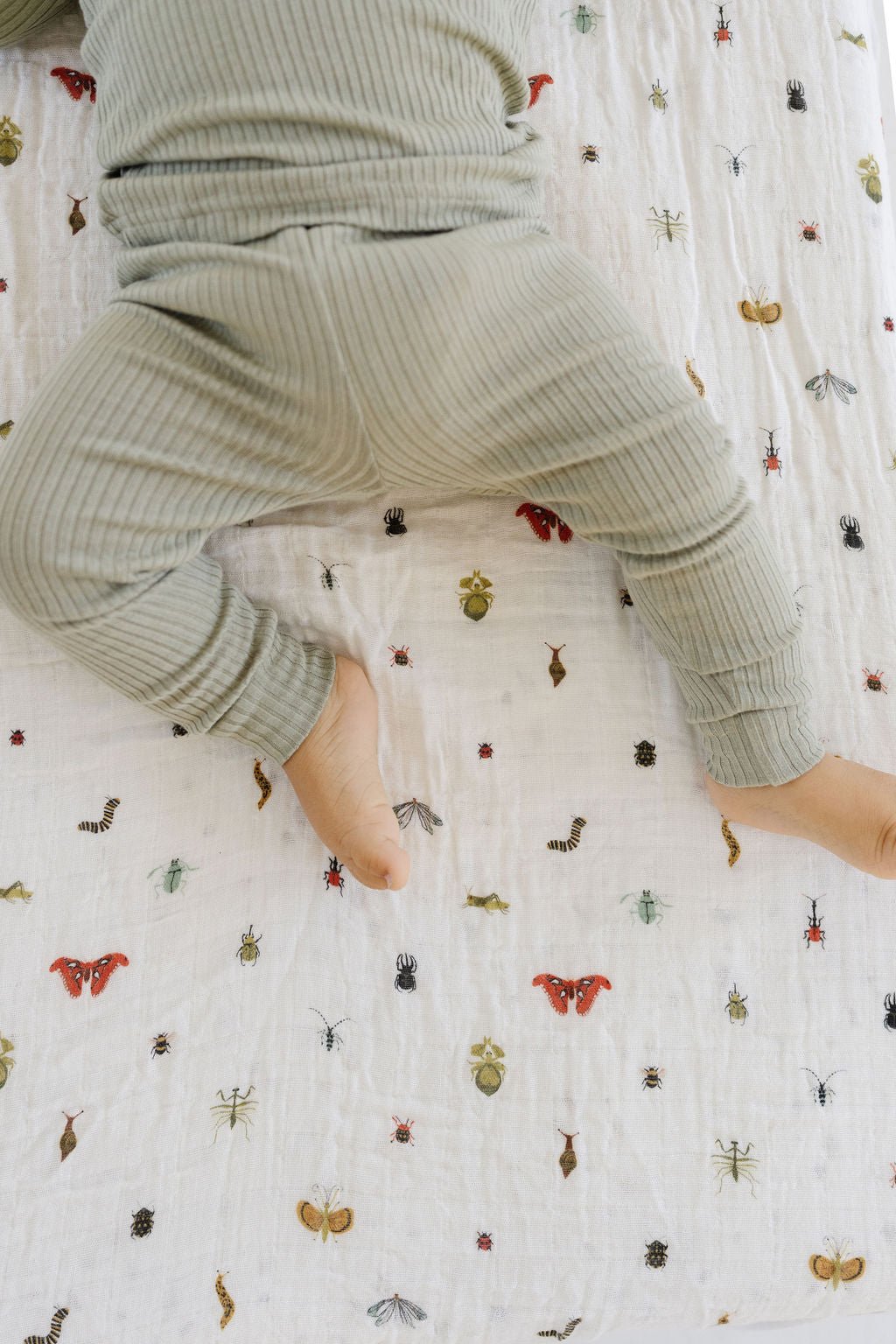 Cutie Crawlies Crib Sheet Crib Sheets La Vie Bien Cutie Crawlies Crib Sheet