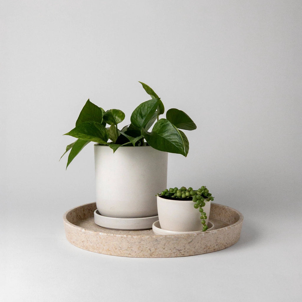 Upcycled Round Tray: Rice Husk by Source by Studio Skara