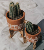 Daksha Terracotta Plant Pot with Wood Stand - large by Matr Boomie