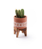 Daksha Terracotta Plant Pot with Wood Stand - large by Matr Boomie