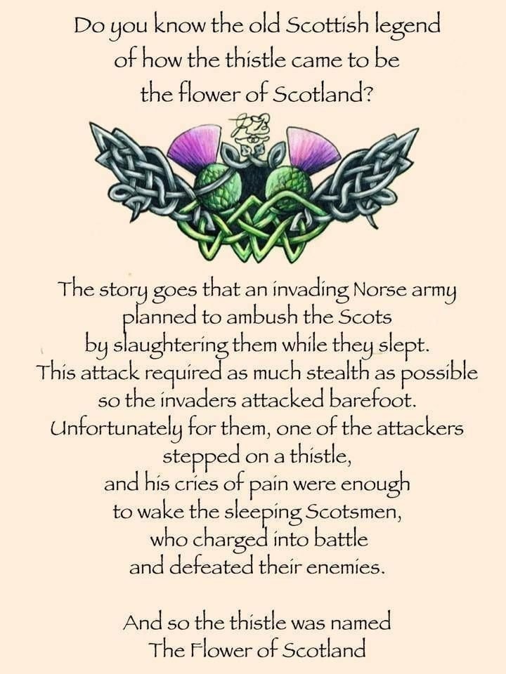 Daleina Scottish Thistle Necklace in Sterling Silver Pendant La Vie Bien Daleina Scottish Thistle Necklace in Sterling Silver