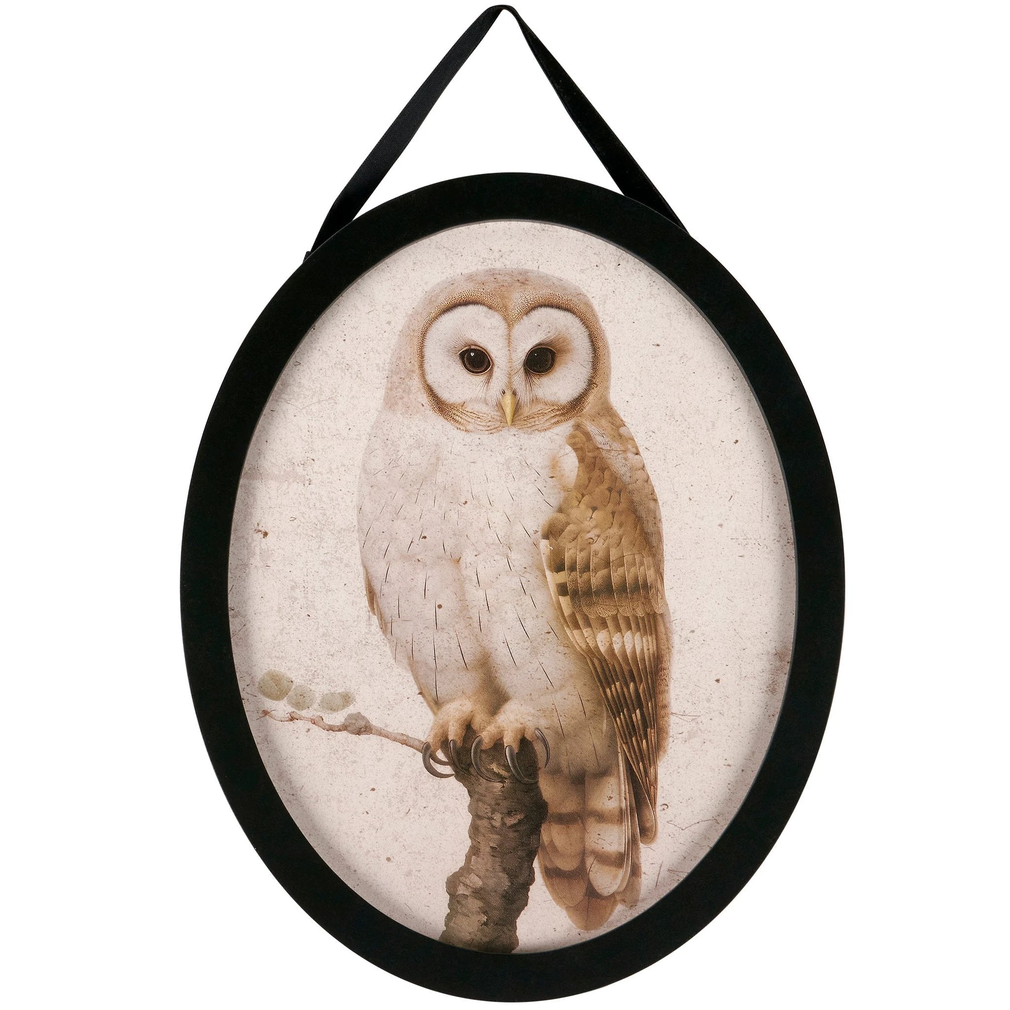 Dark Academia Owl Hanging Decor | Oval Shape Wood Vintage Art Decor | 8" x 10" by The Bullish Store
