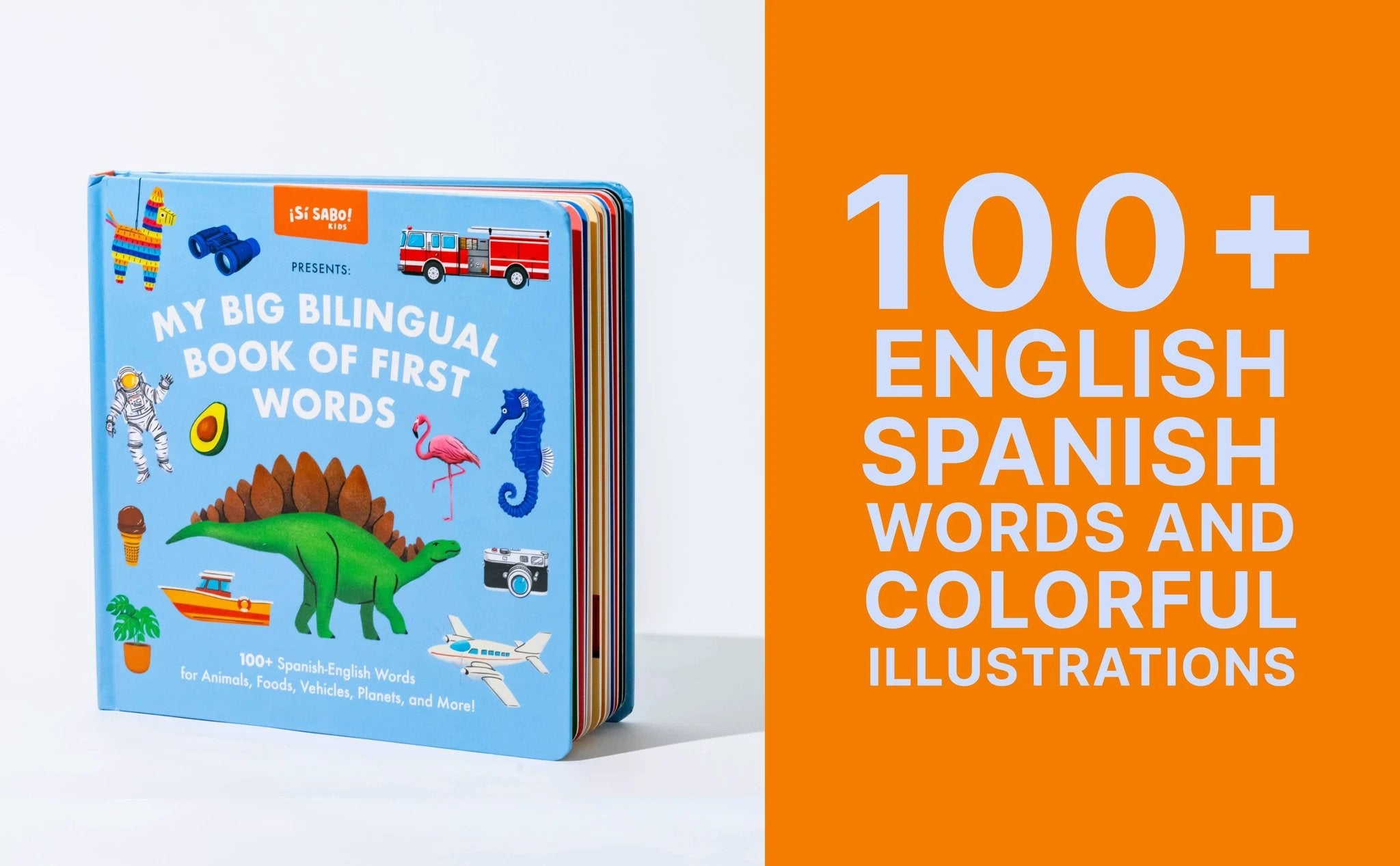 My Big Bilingual Book of First Words (English & Spanish) by Tia Chucha's Centro Cultural & Bookstore