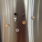 Desi Magnets by Modern Desi
