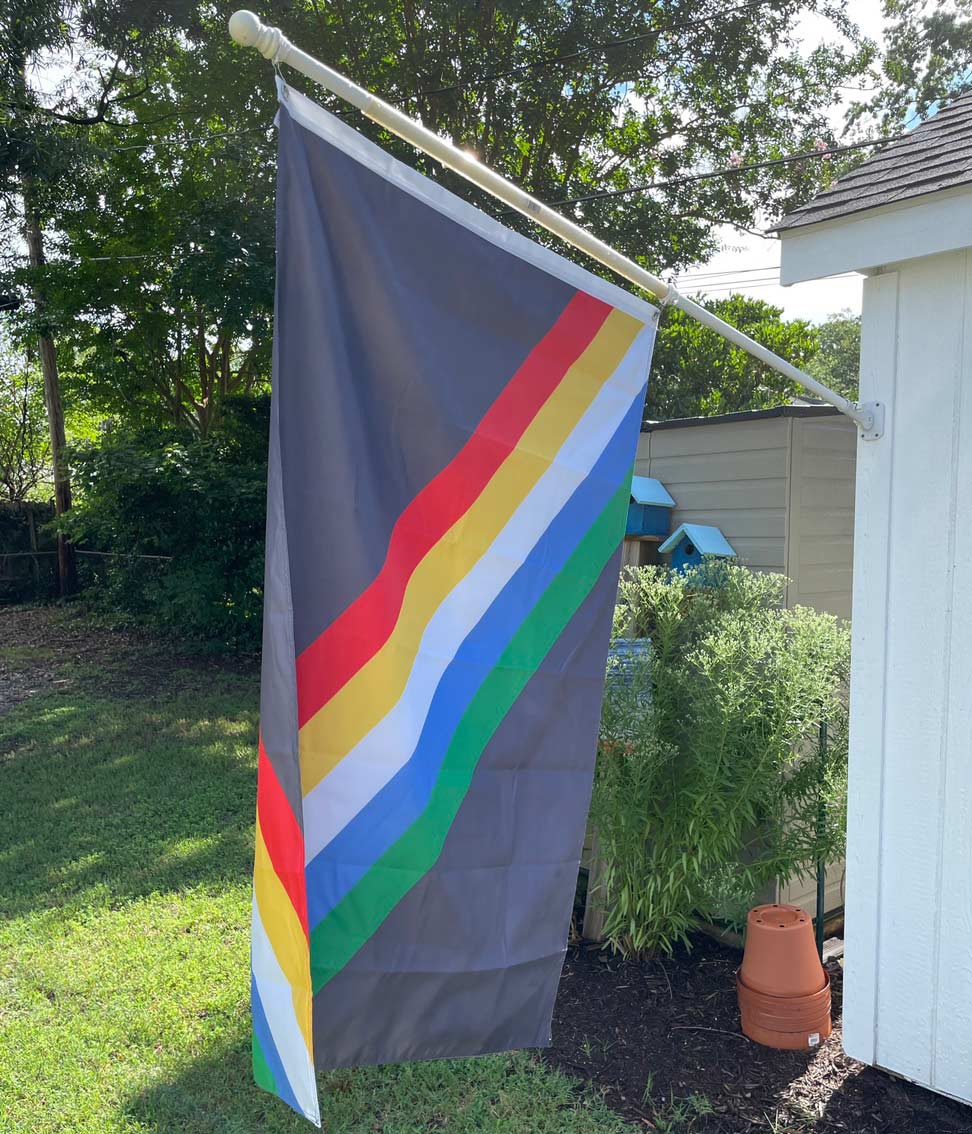 Disability Pride Flag Flag La Vie Bien Disability Pride Flag