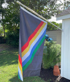Disability Pride Flag Flag La Vie Bien Disability Pride Flag