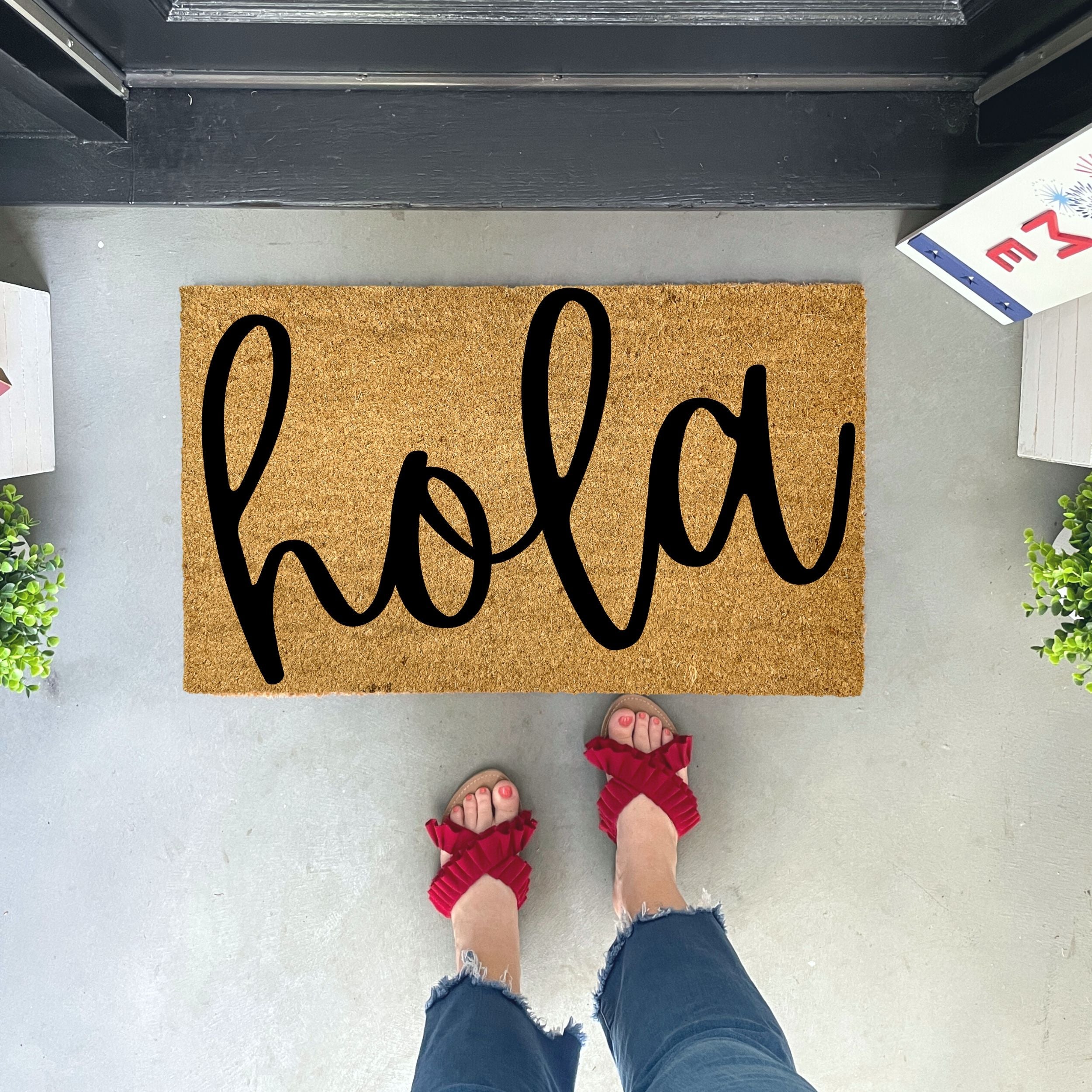 hola Coir Doormat