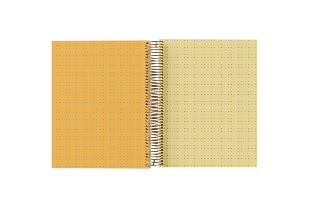 DOTTED Grid Paper Holographic Notebook by BERTEAU & Co.