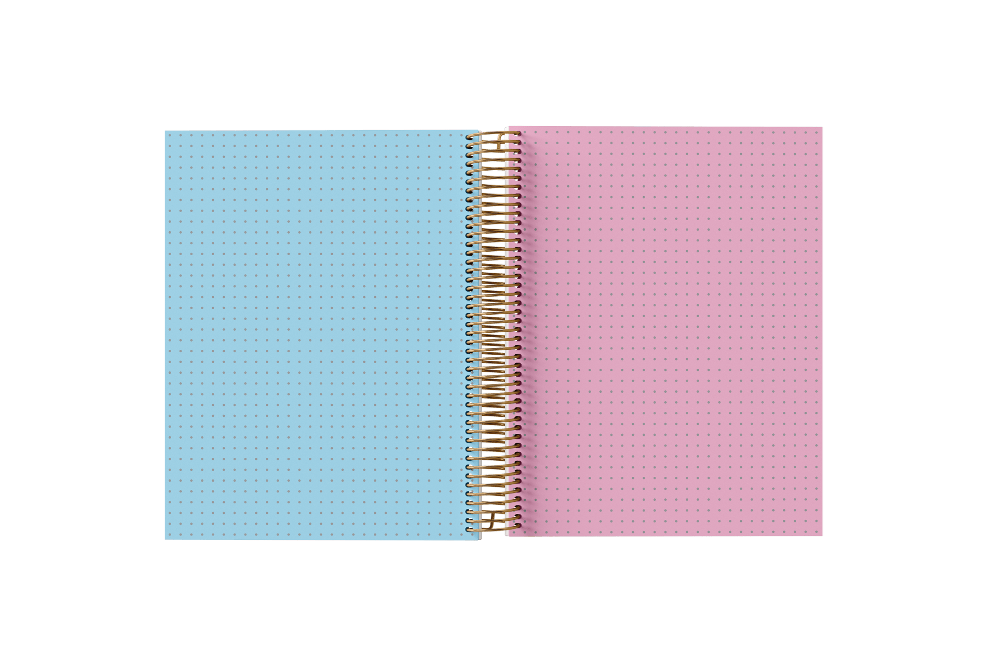 Dotted Grid Paper Holographic Notebook by BERTEAU & Co.