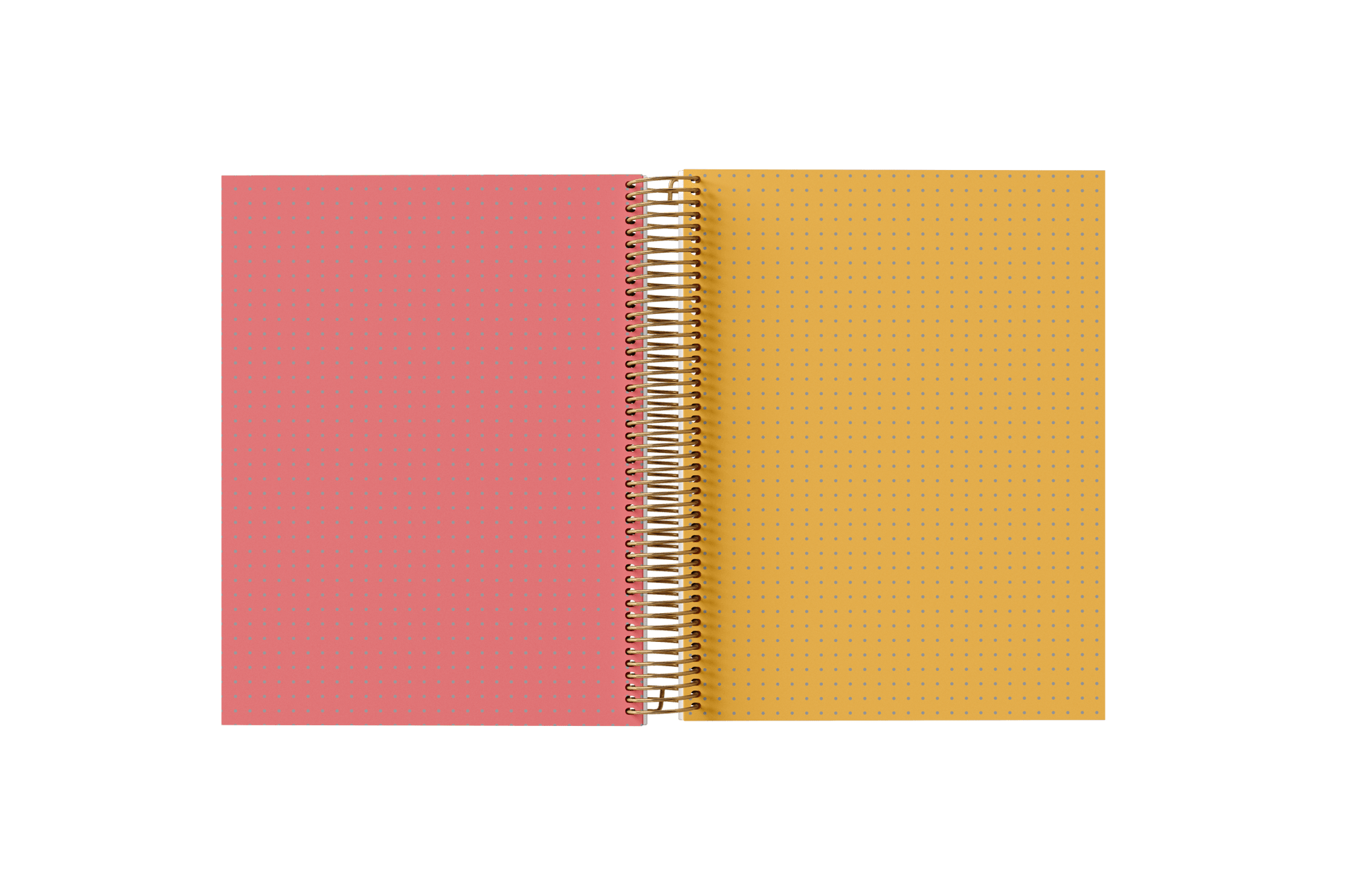 Dotted Grid Paper Holographic Notebook by BERTEAU & Co.