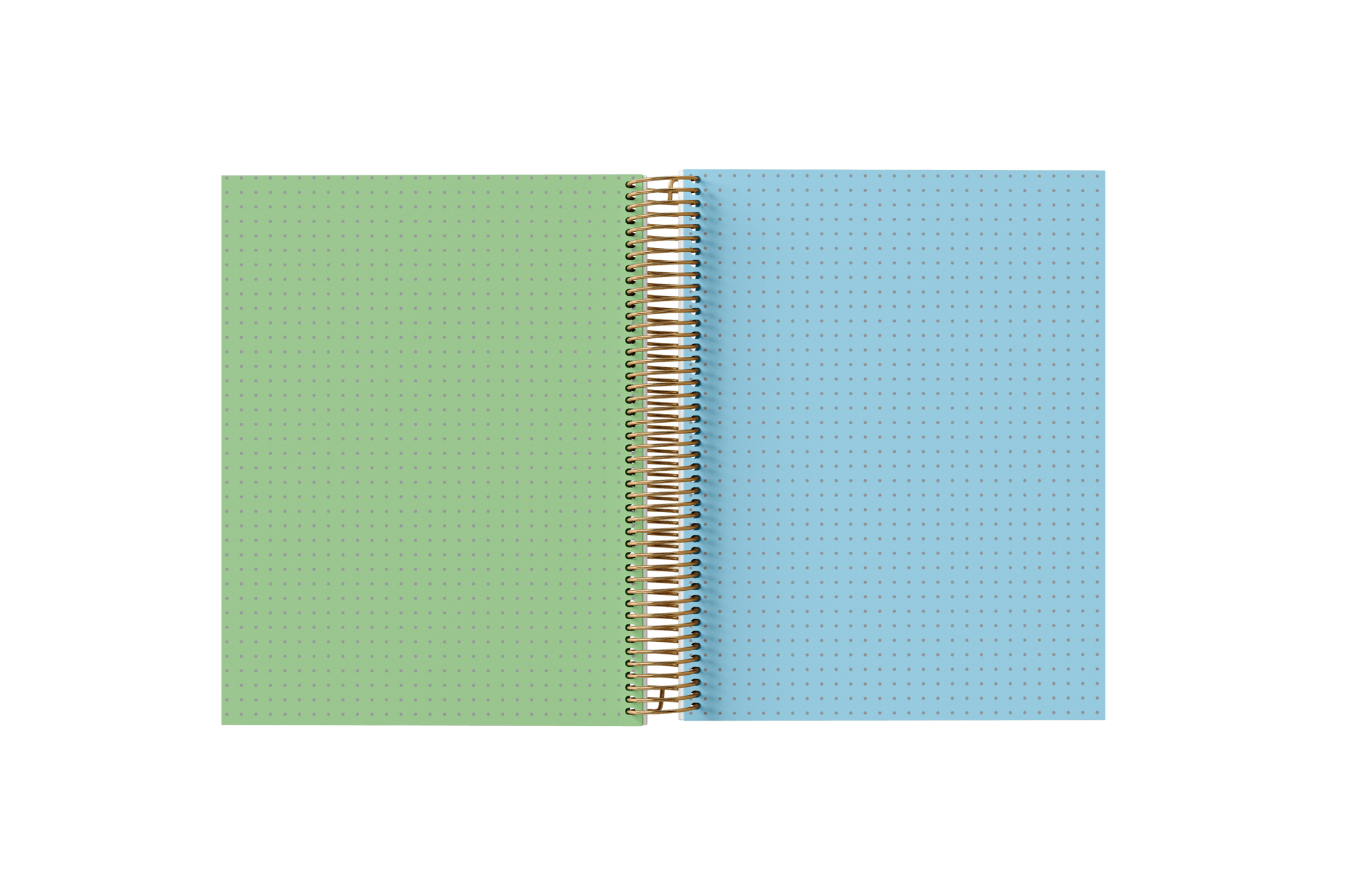 Dotted Grid Paper Holographic Notebook by BERTEAU & Co.