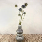 Dried Blue Globe Thistles