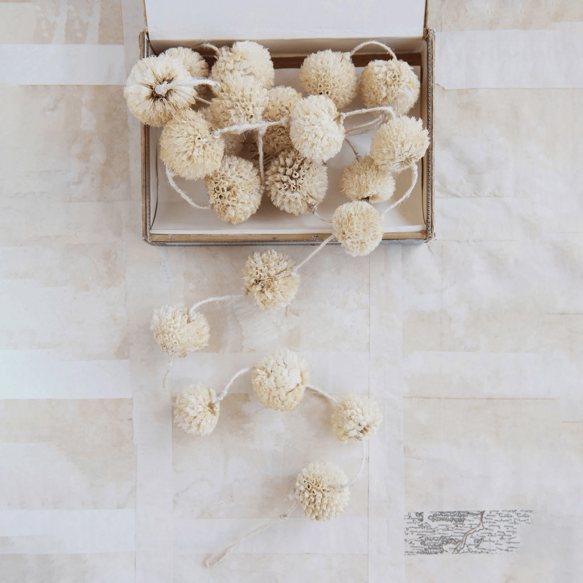 Dried Natural Spinny Flower Garland by White Cliff Studio
