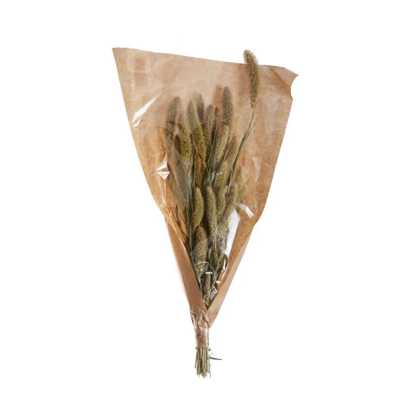 Dried Setaria by White Cliff Studio