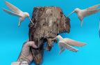 Driftwood Wall Art with Hand - Carved Hummingbirds Wall Decor La Vie Bien Driftwood Wall Art with Hand - Carved Hummingbirds