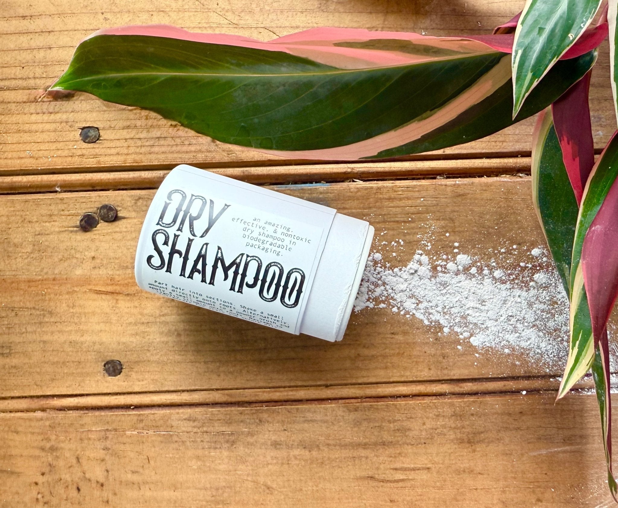 Dry Shampoo | Scalp Supporting | Anti-Chaf La Vie Bien Dry Shampoo | Scalp Supporting | Anti-Chaf