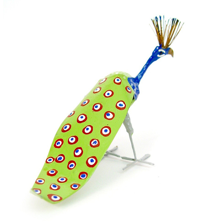 Seedpod Peacock