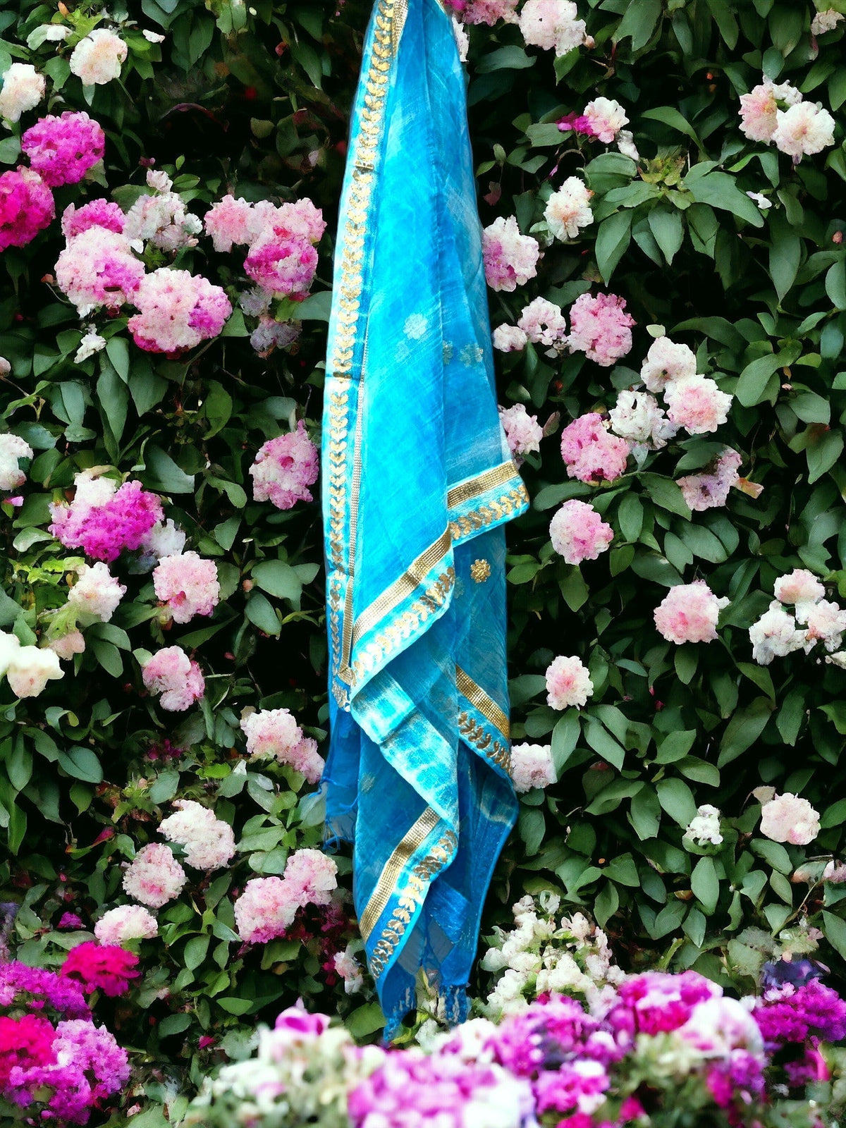 Dupatta with Golden Gota Work Stole / Duppata La Vie Bien Dupatta with Golden Gota Work