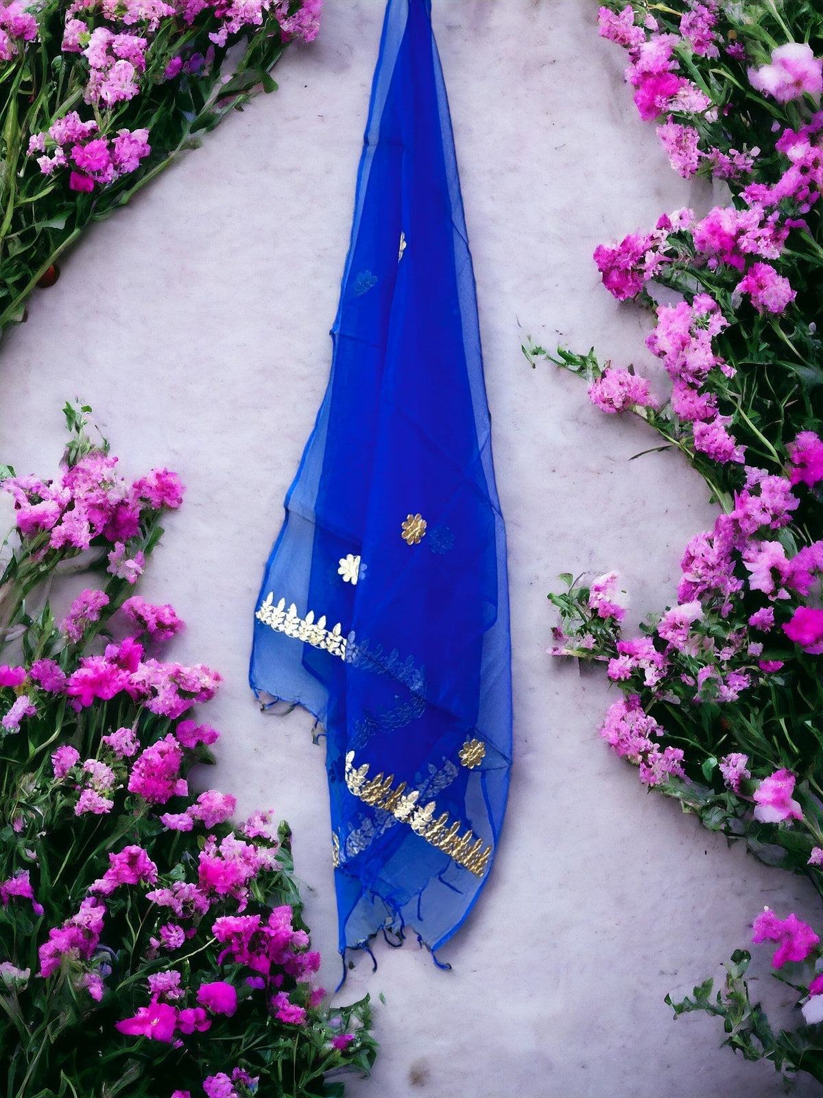 Dupatta with Golden Gota Work Stole / Duppata La Vie Bien Dupatta with Golden Gota Work