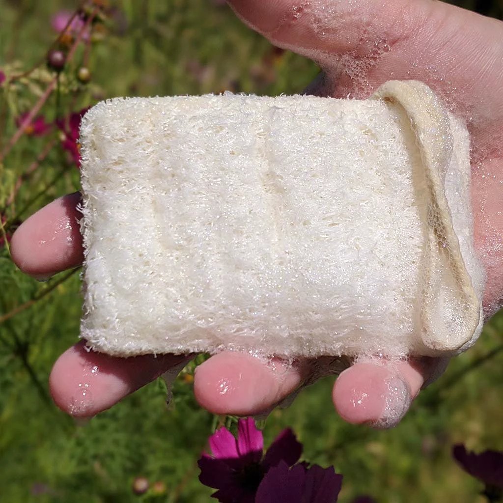 Eco Dish Washing Scrubbers 3 Pack - Loofah by Zero Waste Outlet
