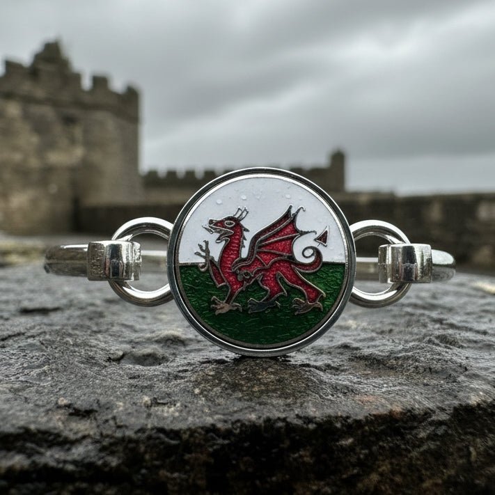 Enamel Celtic Welsh Dragon Bracelet for Women Bracelet La Vie Bien Enamel Celtic Welsh Dragon Bracelet for Women