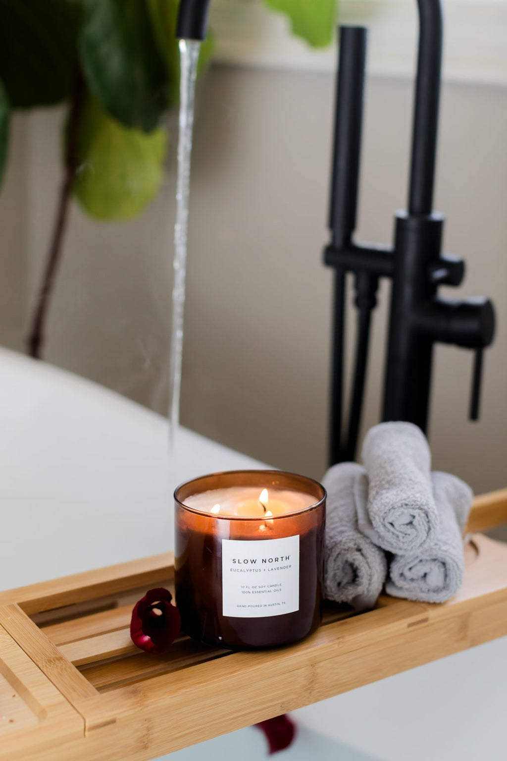 Eucalyptus + Lavender - Signature 3 - Wick Candle Signature 3 - Wick Candle La Vie Bien Eucalyptus + Lavender - Signature 3 - Wick Candle