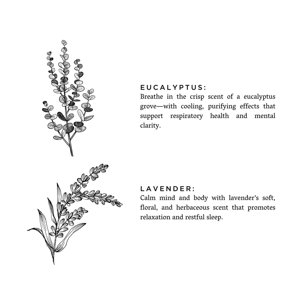 Eucalyptus + Lavender - Signature 3 - Wick Candle Signature 3 - Wick Candle La Vie Bien Eucalyptus + Lavender - Signature 3 - Wick Candle