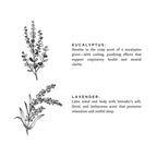 Eucalyptus + Lavender - Signature 3 - Wick Candle Signature 3 - Wick Candle La Vie Bien Eucalyptus + Lavender - Signature 3 - Wick Candle