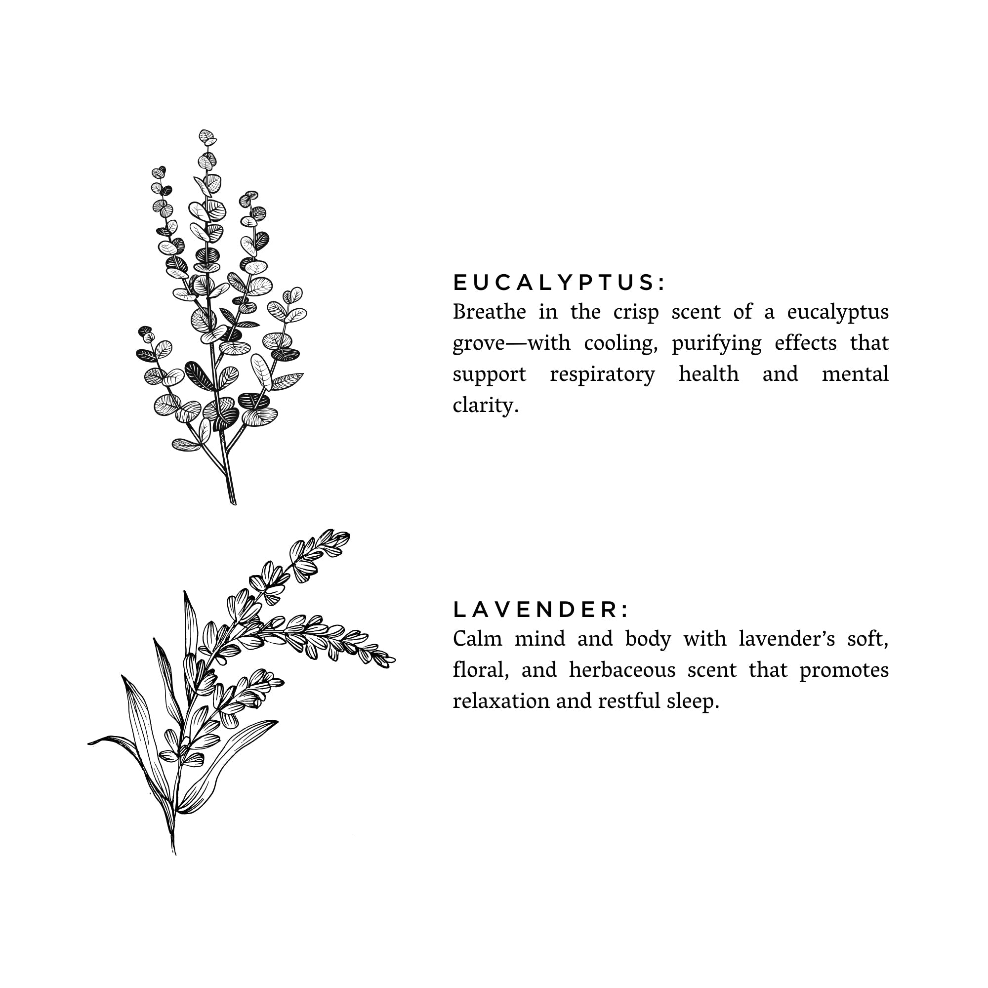 Eucalyptus + Lavender - Signature 3 - Wick Candle Signature 3 - Wick Candle La Vie Bien Eucalyptus + Lavender - Signature 3 - Wick Candle