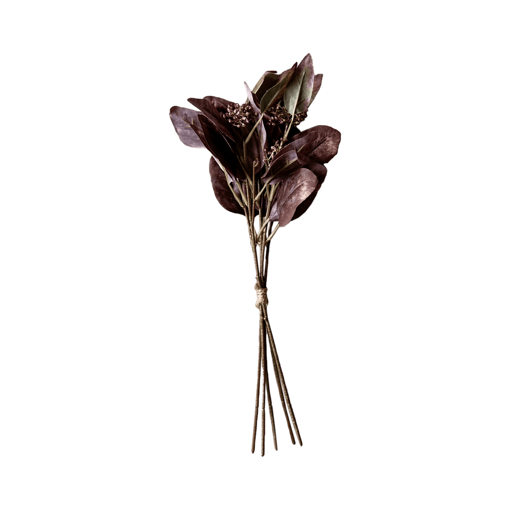 Eucalyptus Ruby Flower Stem