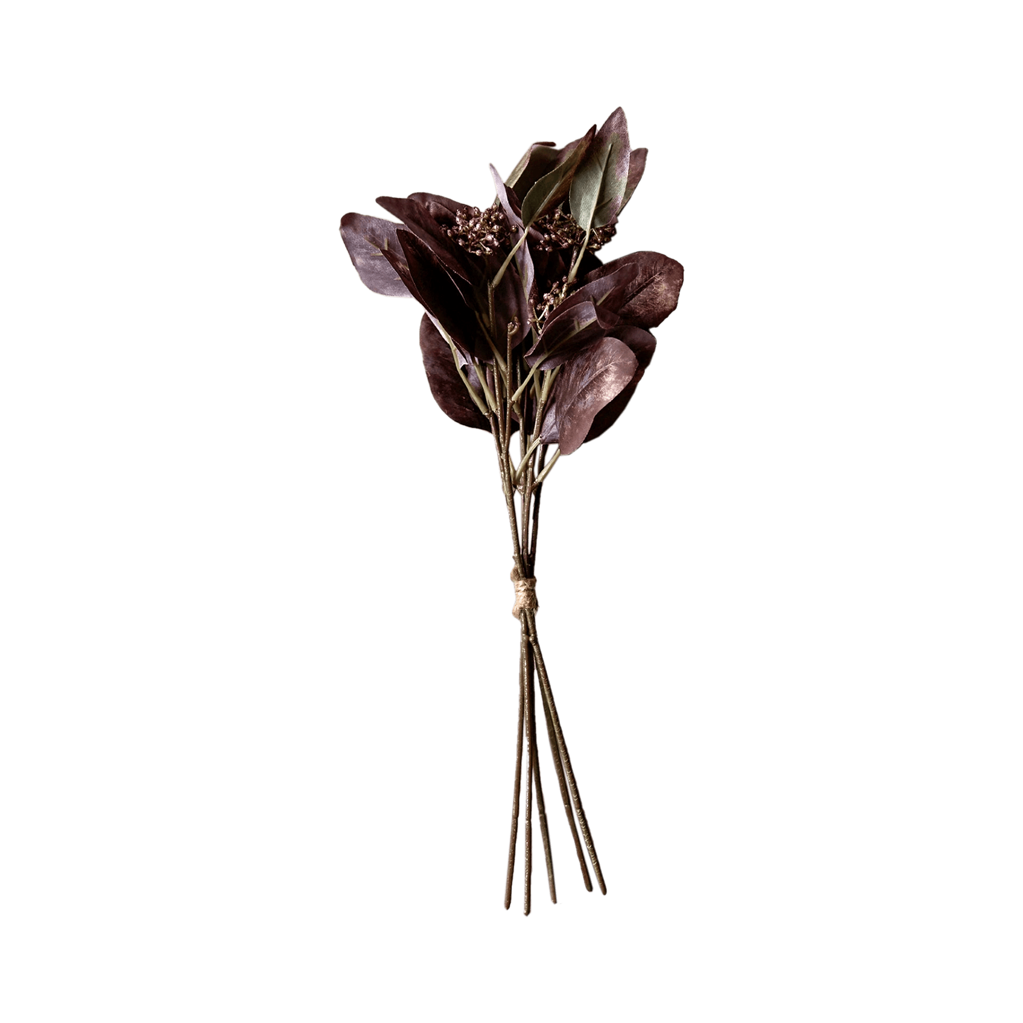 Eucalyptus Ruby Flower Stem