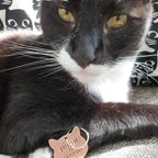 EVERYDAY IS CATURDAY Copper Cat Keychain Key Chain La Vie Bien EVERYDAY IS CATURDAY Copper Cat Keychain