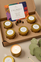 Favorites Collection - 6 Pack Collection Box La Vie Bien Favorites Collection - 6 Pack
