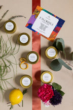 Favorites Collection - 6 Pack Collection Box La Vie Bien Favorites Collection - 6 Pack
