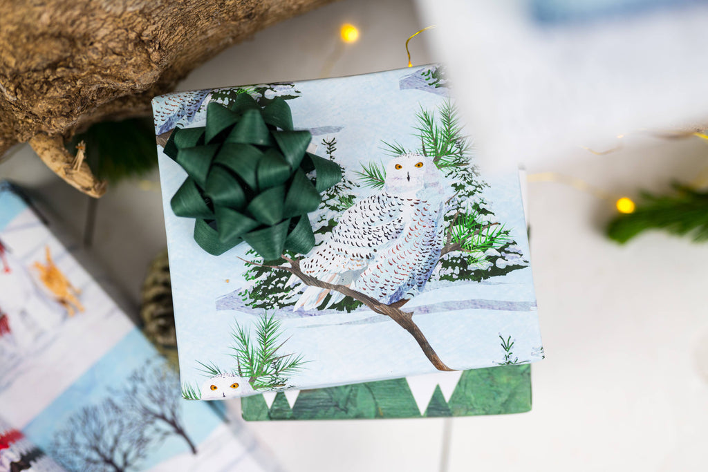 Double-Sided Eco Wrapping Paper – Holiday | Recyclable & Compostable Gift Wrap