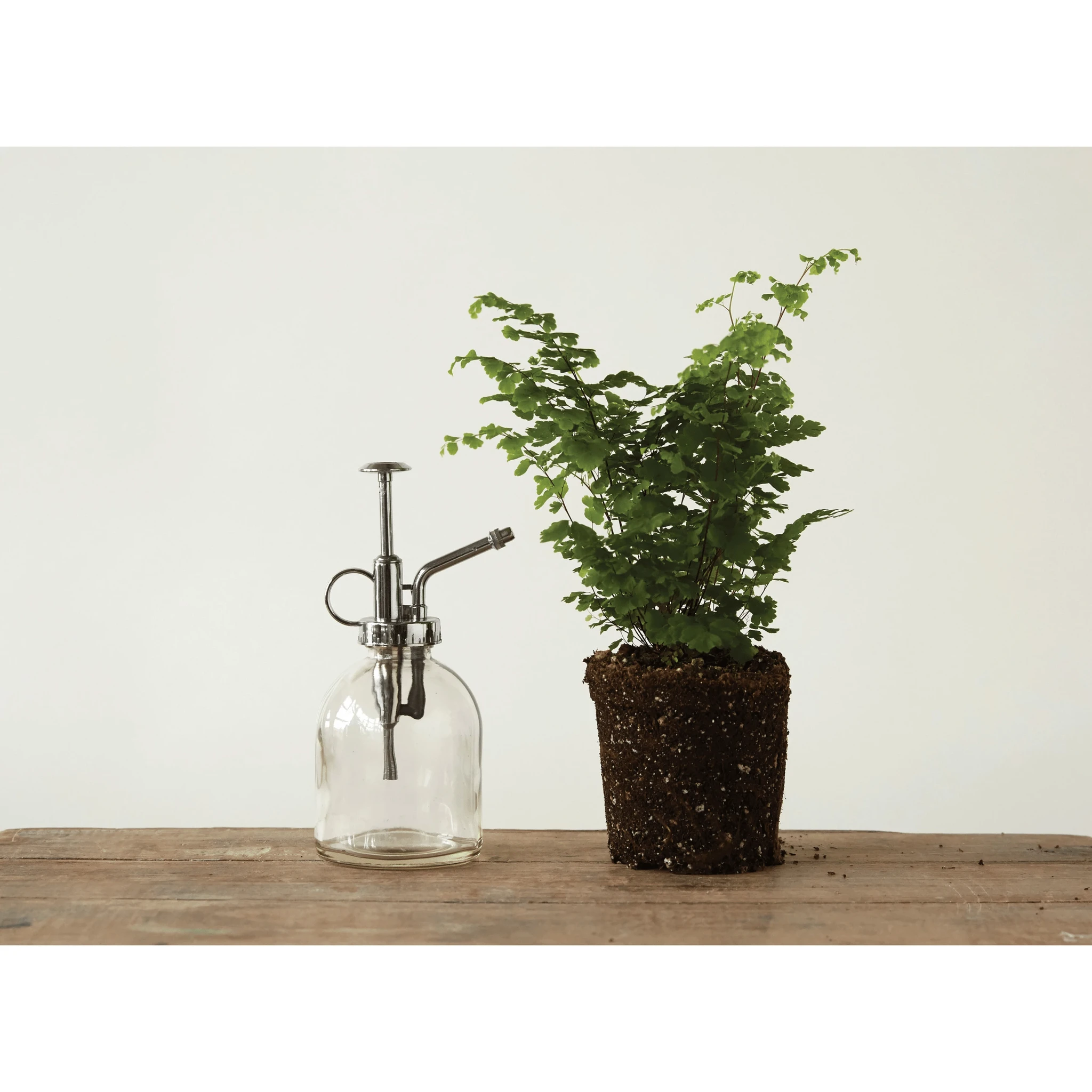 Glass Plant Mister with Silver Pump by White Cliff Studio